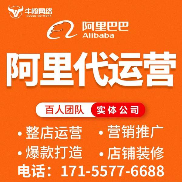 防城港电商代运营