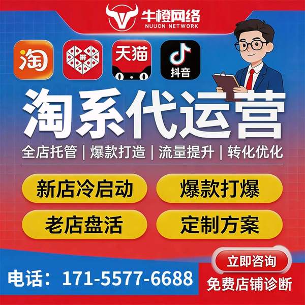 防城港电商代运营