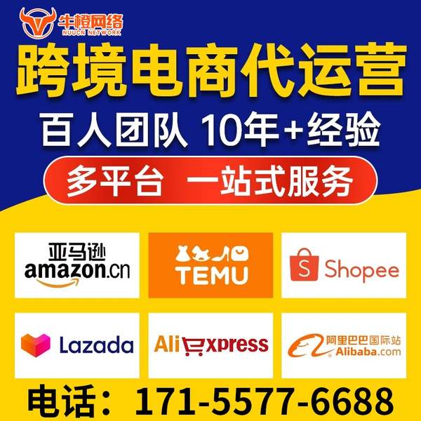 防城港电商代运营