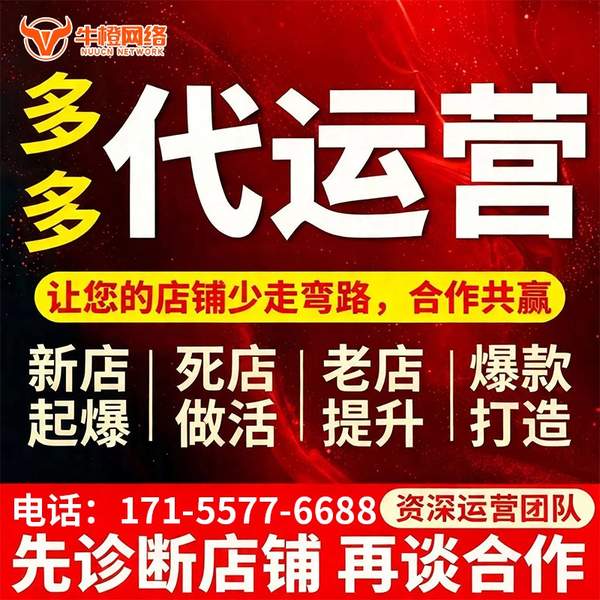 防城港电商代运营