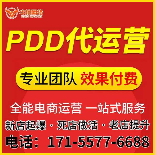 防城港电商代运营