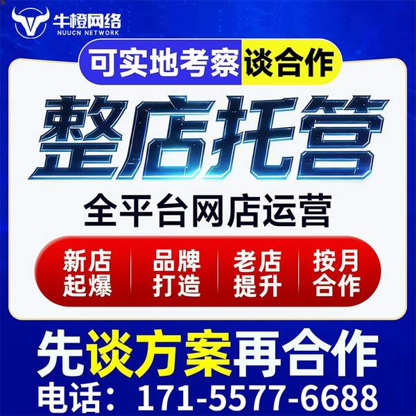 防城港电商代运营