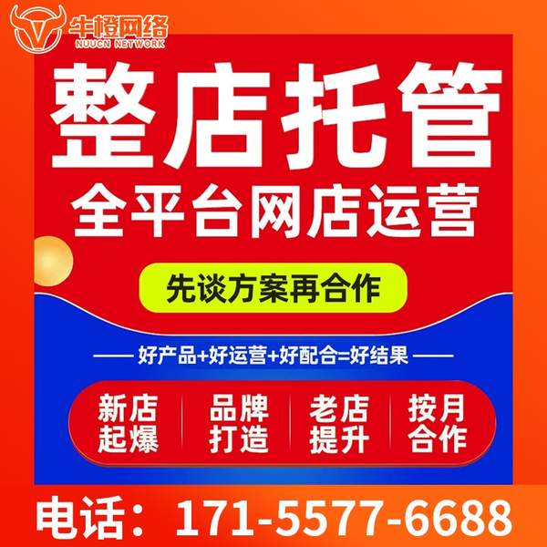 防城港电商代运营