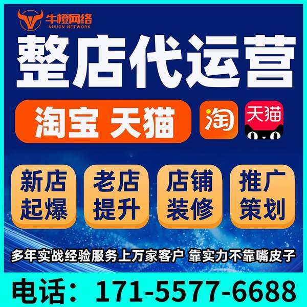 防城港电商代运营