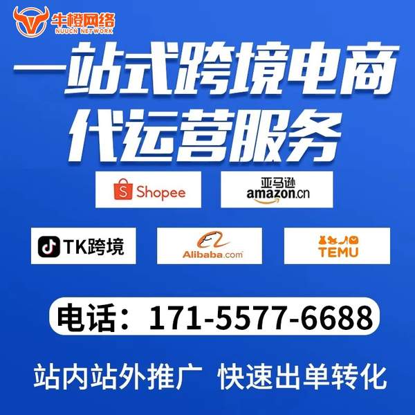 防城港电商代运营