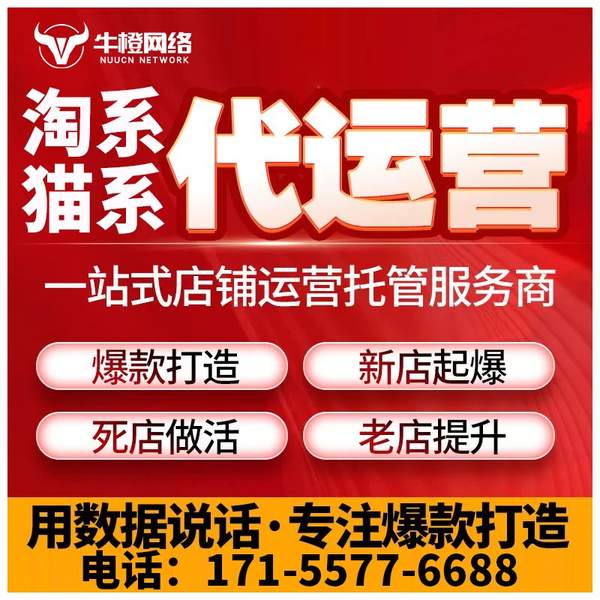 防城港电商代运营